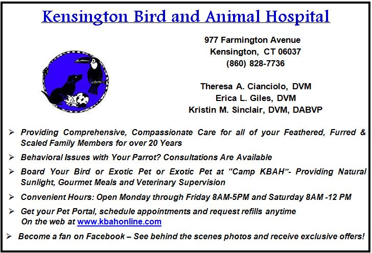 Kensington Bird and Animal Hospital
